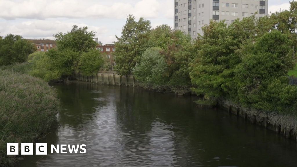 Call for targets to make London's rivers swimmable